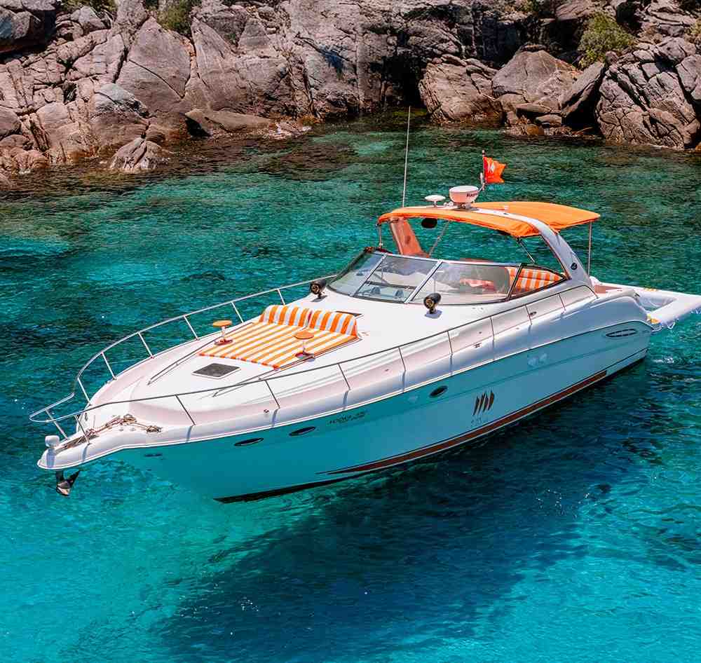 VIP Speedboat Charter