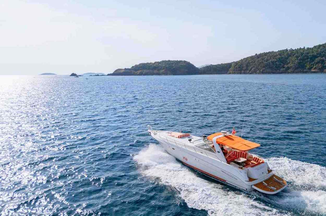 Regatta